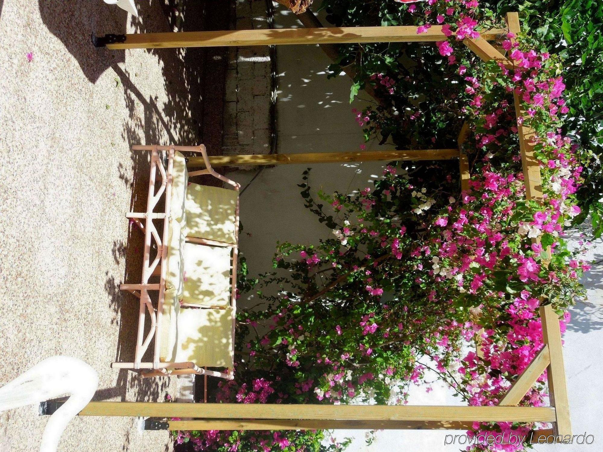 Albatross Livadi (Serifos) Exterior foto