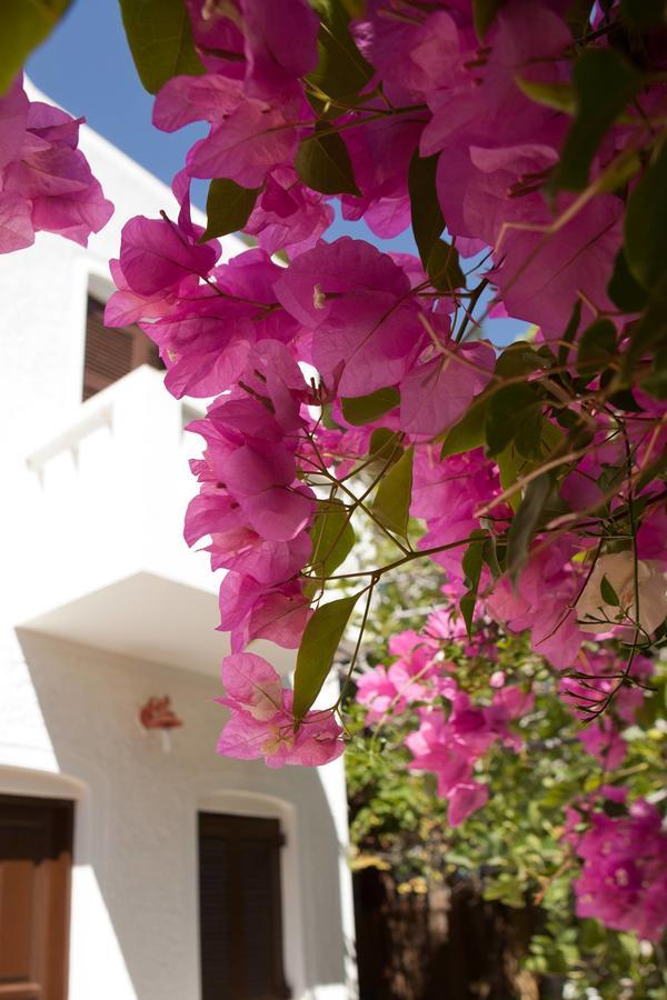 Albatross Livadi (Serifos) Exterior foto